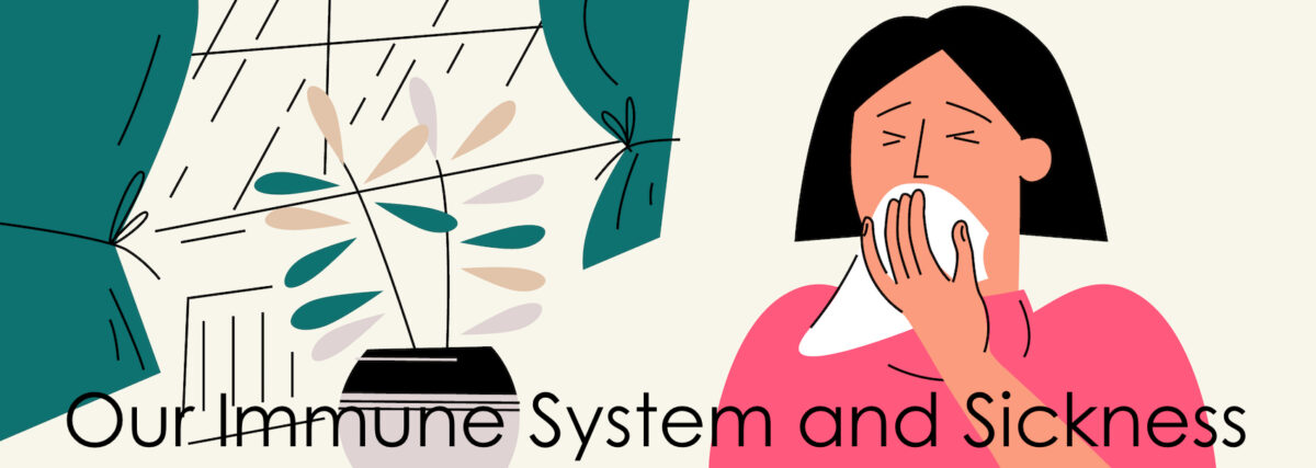Our Immune System and how we get sick.
