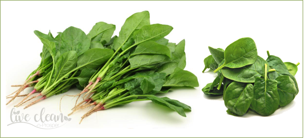 Spinach and Iron – myth or fact ??