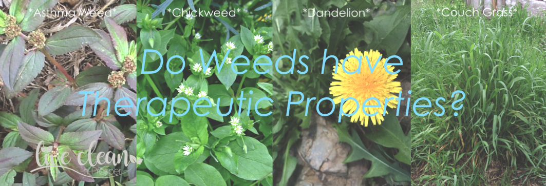 Do Weeds have Therapeutic Properties?