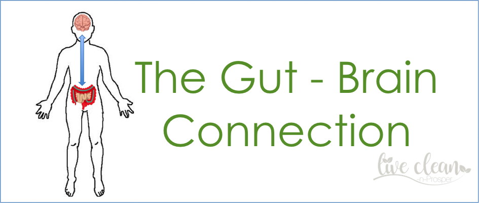 The Gut – Brain Connection