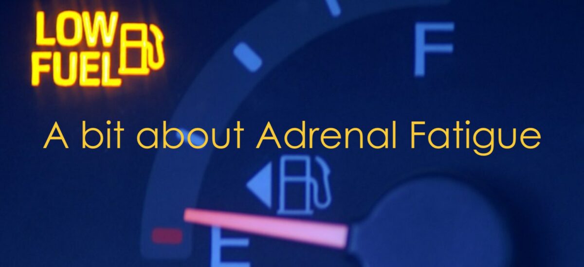 A bit about Adrenal Fatigue
