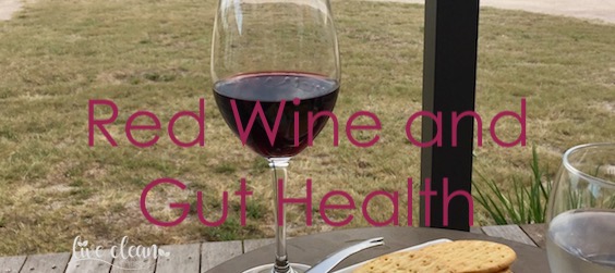 Red Wine and Gut Health