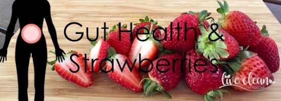 Gut Health and Strawberries