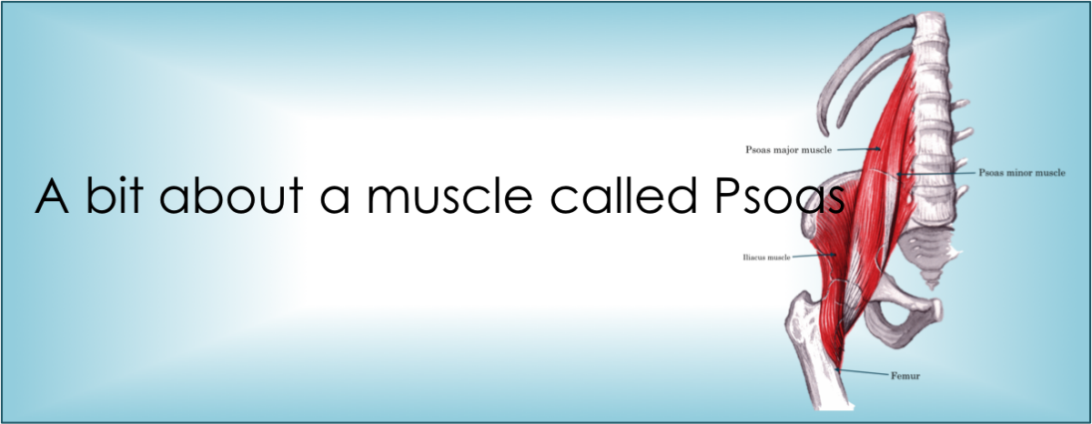 A bit about a muscle called Psoas.