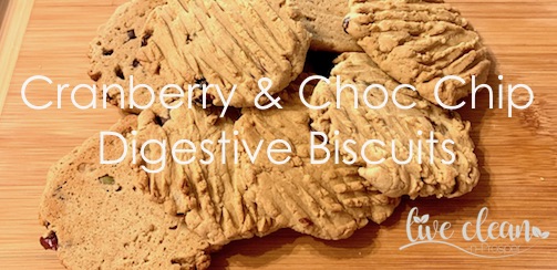 Cranberry & Choc chip Digestive Biscuits