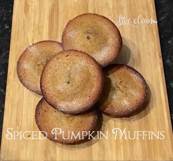 Spiced Pumpkin Muffin recipe