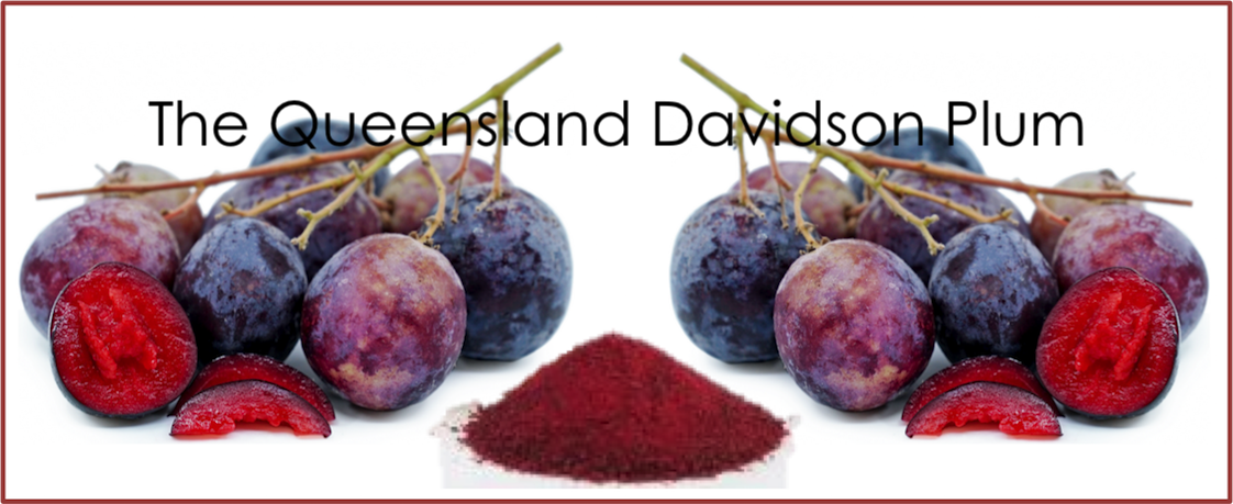 The Queensland Davidson Plum