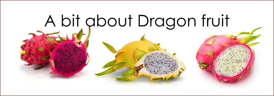 A bit about Dragon fruit.