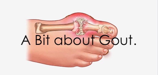 A Bit about Gout