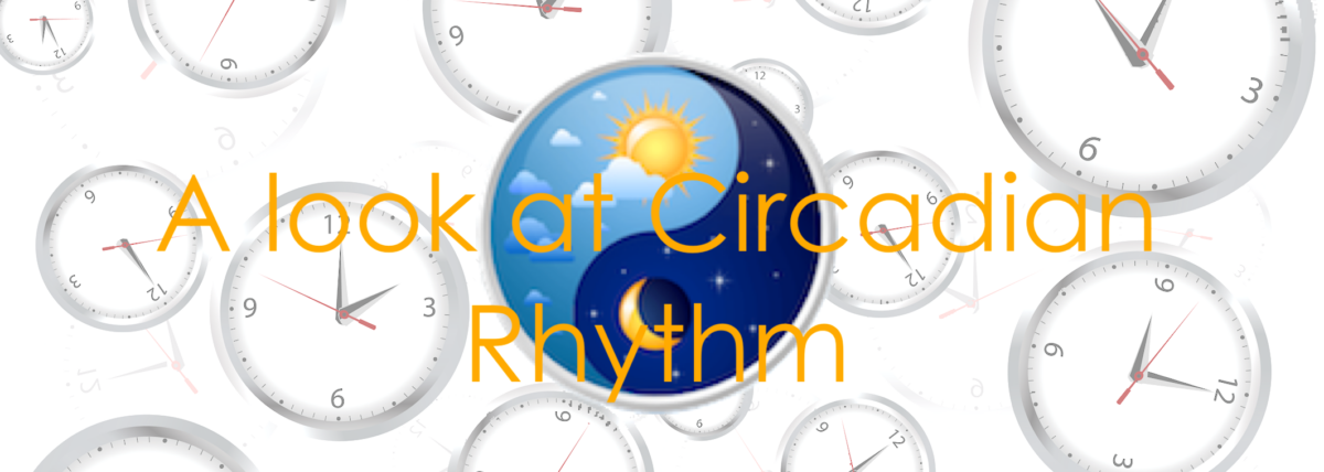 Circadian Rhythm