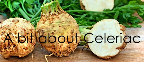 A bit about Celeriac