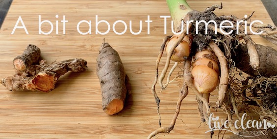 A bit about Turmeric