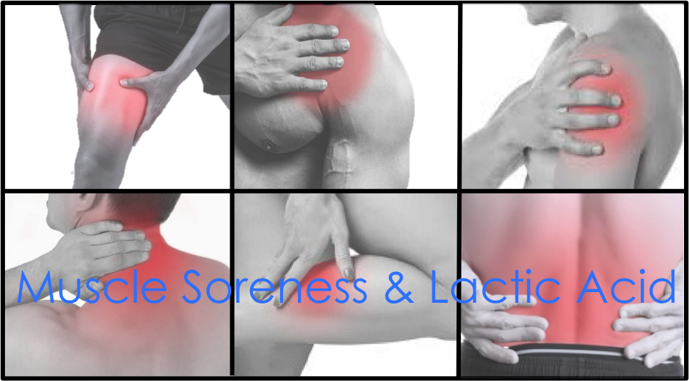 Muscle Soreness & Lactic Acid
